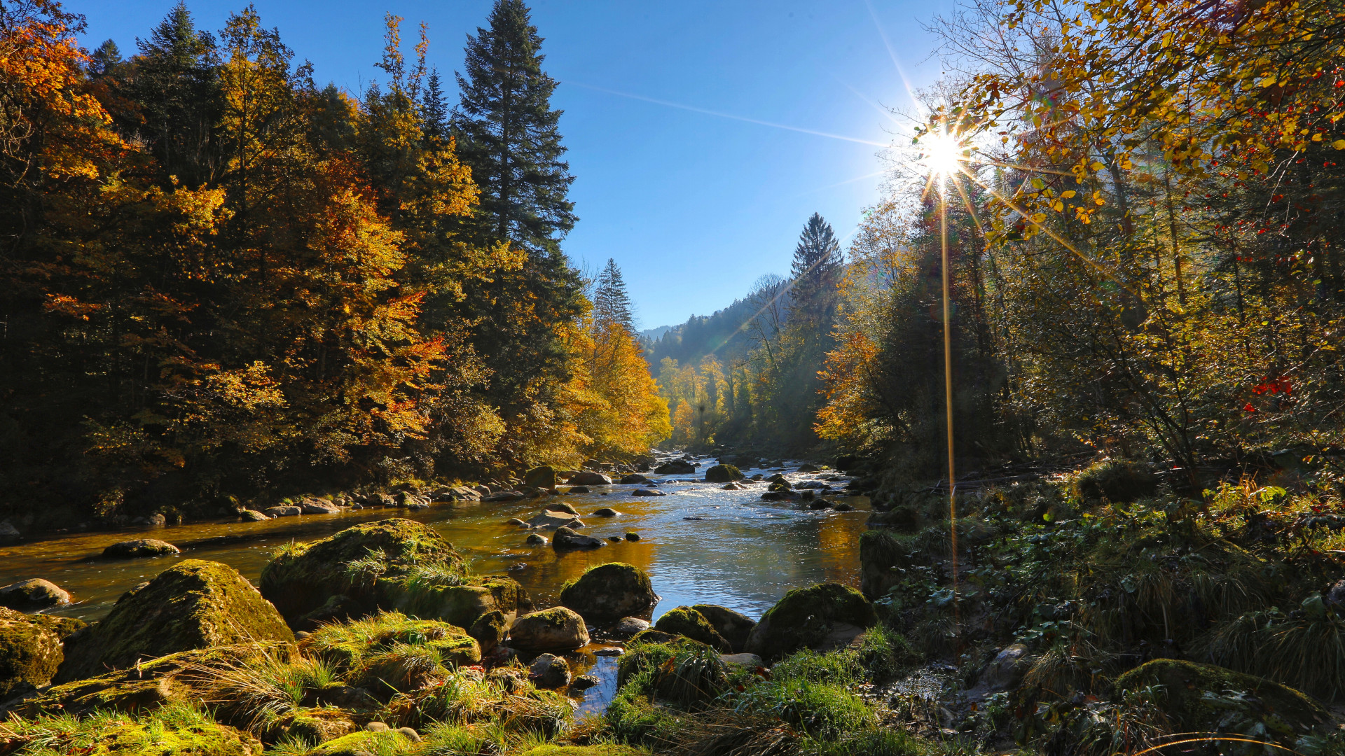 Comunità cristiane in Svizzera unite per la tutela della biodiversità in vista della votazione federale del 22 settembre