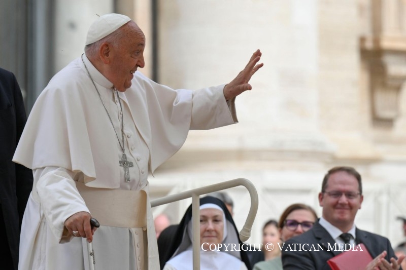 Papa Francesco all'udienza generale: 