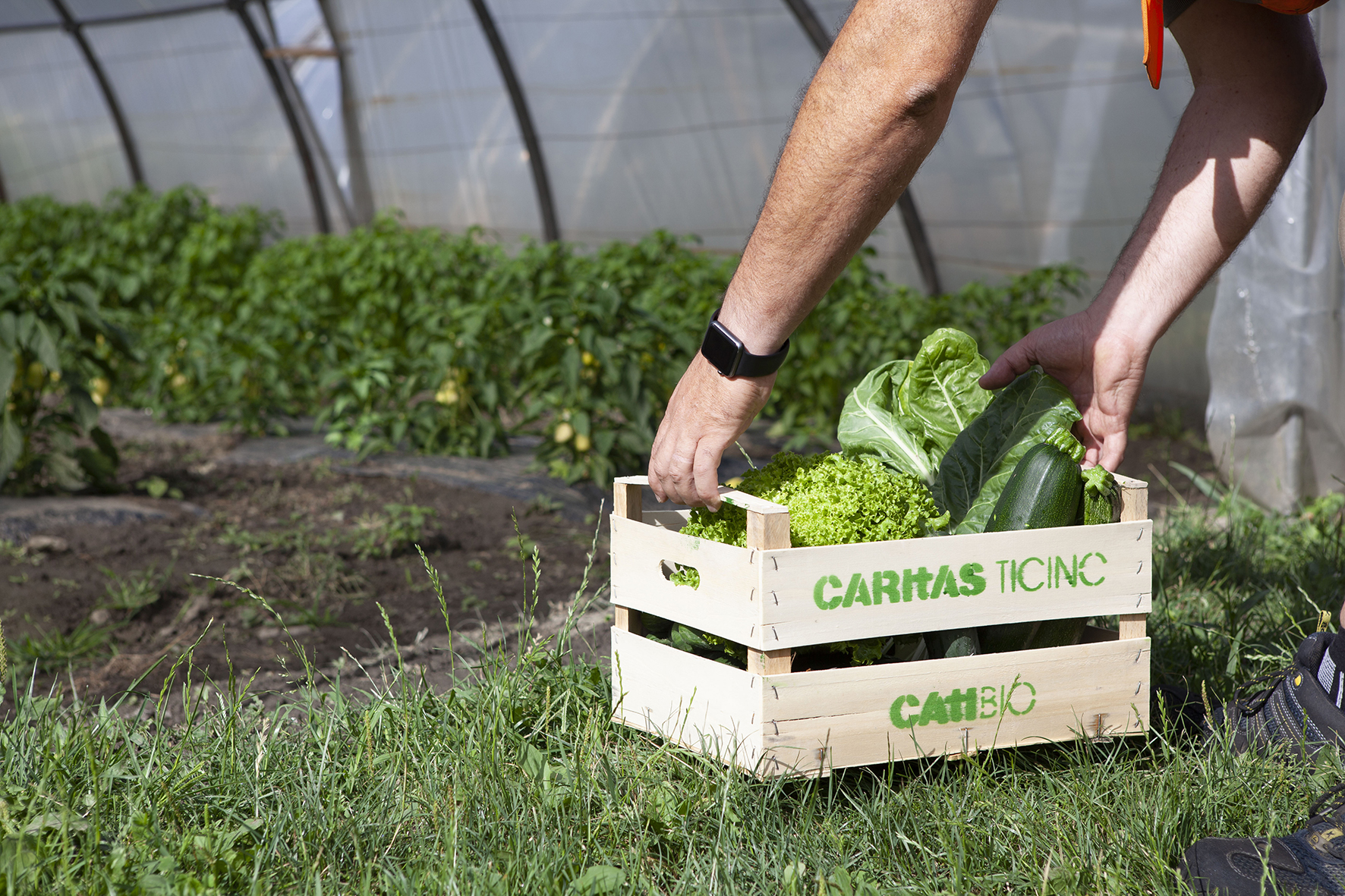 Caritas Ticino: un convegno e l'open day alla nuova azienda biologica e sociale