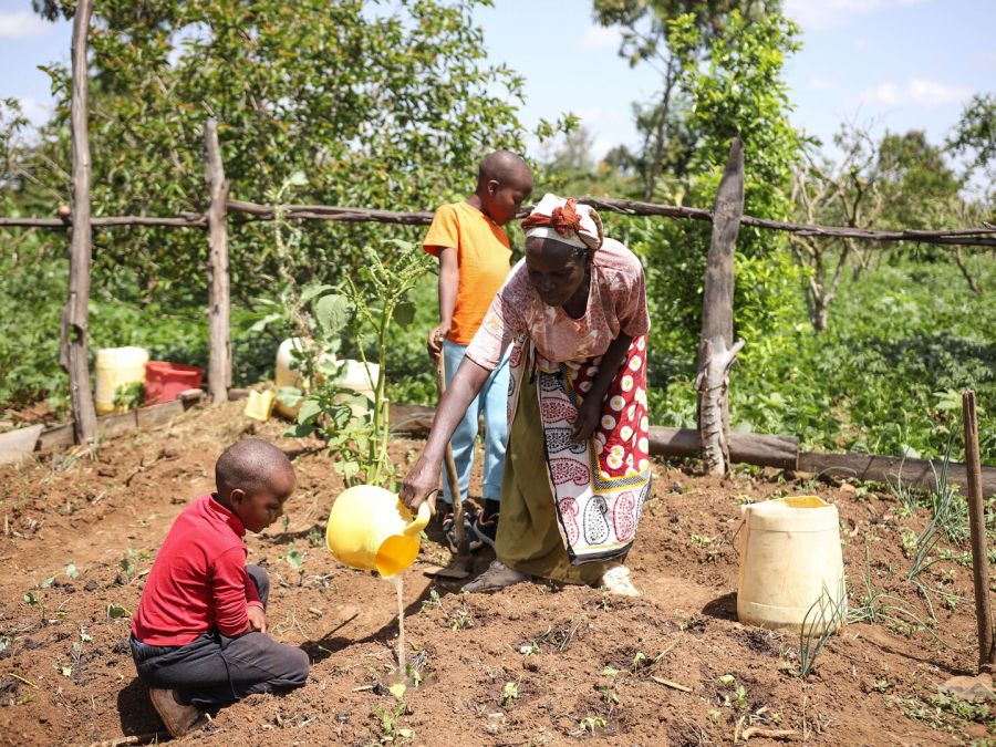 L’agroecologia consente agli agricoltori di vendere e di creare gruppi di risparmio che servono come reti di sicurezza per cibo, sementi, spese sanitarie e scolastiche durante i periodi di siccità