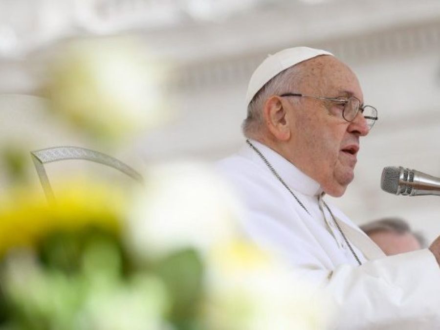 Papa Francesco in un'udienza in piazza S. Pietro
