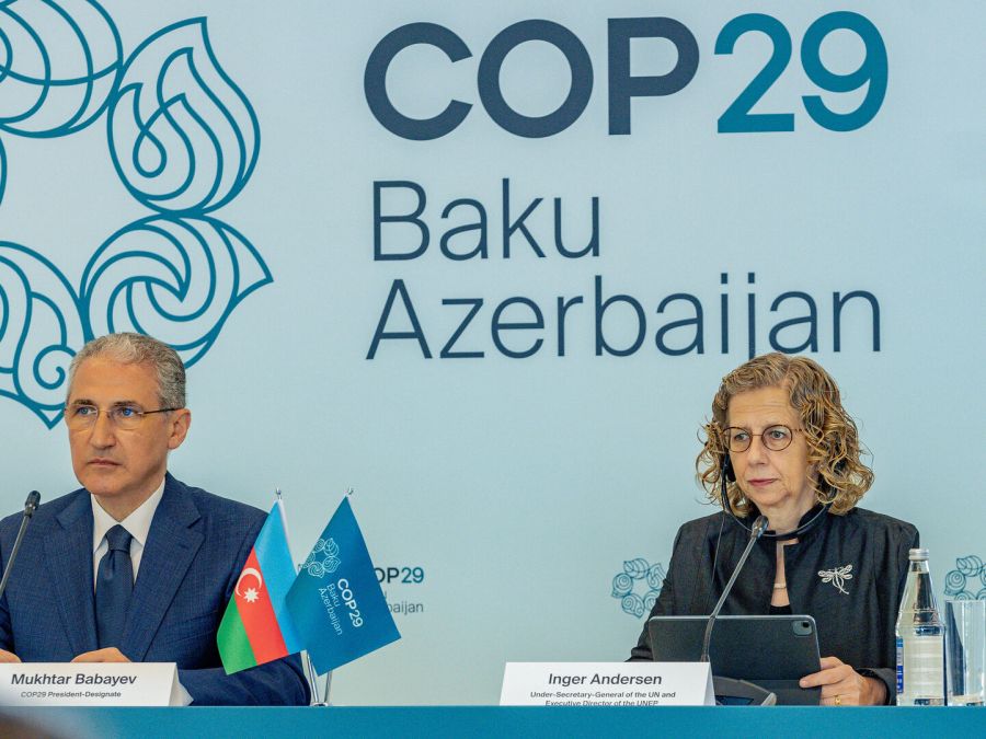 COP29