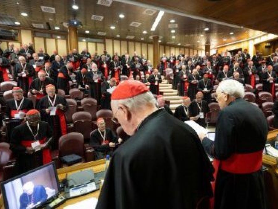 Una congregazione generale di cardinali